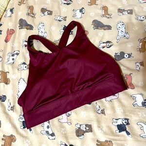 Fabletics Maroon Sports Bra
